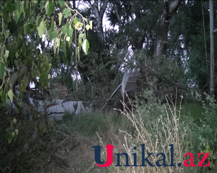 Goranboyda külək irigövdəli ağacı transformatorun üzərinə aşırdı - FOTOLAR